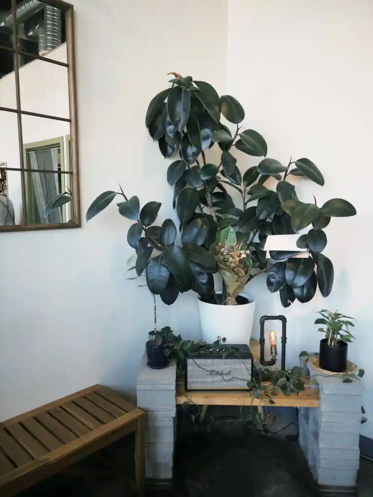Komorebi Brunch Restaurant 내부 사진 3